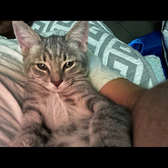 Profile Picture of Kevin Joyce (@dirtyuncle) on Poshmark