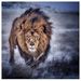 Profile Picture of Dominic Campbell (@dominicjcampbell) on Pinterest