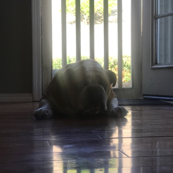 Profile Picture of Rocco Palmini (@trojans07) on Poshmark