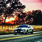 Profile Picture of mustang_lovers (@patelvednatubhai) on Instagram