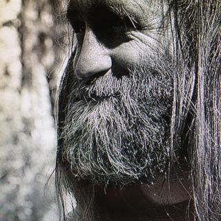 Profile Picture of Bruce Reed (@brucereed99) on Instagram