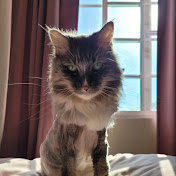 Profile Picture of Jeanette Nguyen (@jeanettenguyen5559) on Youtube