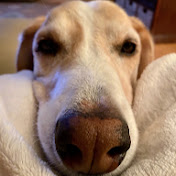 Profile Picture of Greg Kern (@gregkern4652) on Youtube