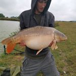 Profile Picture of Matthew harper (@carper_harper) on Instagram