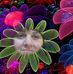 Profile Picture of Jessica Hollaway (@jessica.hollaway.77) on Facebook