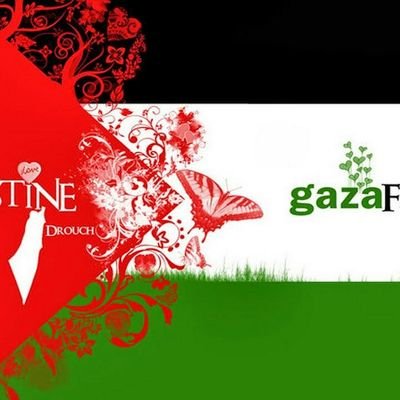 Profile Picture of Mohammad Rayyan (@mohamadrayyan) on Twitter
