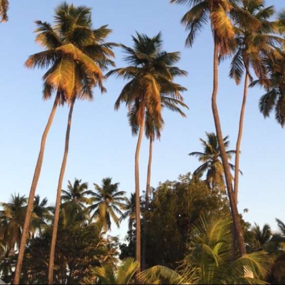 Profile Picture of Ninoshka Pachot (@ninoshkaaa) on Poshmark