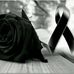 Profile Picture of Angelo Aviles (@angelo.aviles.52056) on Facebook
