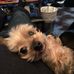 Profile Picture of Richard Berry (@richard.berry.75457081) on Facebook