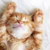 Profile Picture of Alex Rackley (@alexrackley7836) on Youtube