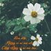 Profile Picture of Lenna Nguyễn (@nguyen.lenna.7) on Facebook
