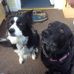 Profile Picture of Lisa Blakemore (@lisa.blakemore.73) on Facebook