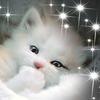Profile Picture of Dawn Crozier (@@dawncrozier1) on Tiktok