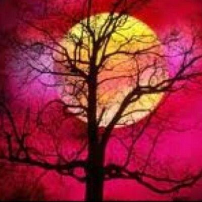 Profile Picture of Katelyn Struthers (@KaTeLyN2811) on Twitter