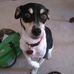 Profile Picture of Keith Holliman (@Keith-Holliman) on Facebook