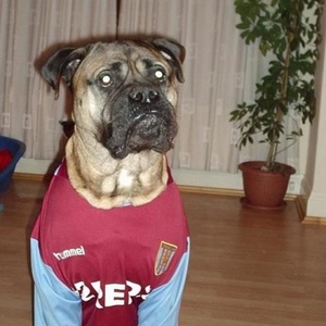 Profile Picture of Robert Hallam (@katflapo) on Myspace