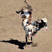 Profile Picture of Clay Ross (@clayross100) on Youtube