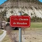 Profile Picture of Carole Roux (@ferme_de_bloudon) on Instagram