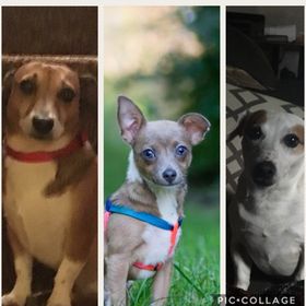 Profile Picture of Kim Bowman (@mrskimbowman) on Pinterest