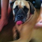 Profile Picture of hans gallauer (@gallauer) on Instagram