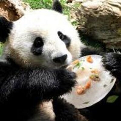 Daniel Fanelli - Twitter Profile Picture of Daniel Fanelli (@DFanelli25) on Twitter