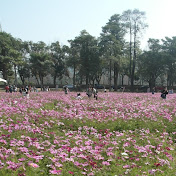 Profile Picture of Crystal Hsu (@snowtsuyo) on Youtube