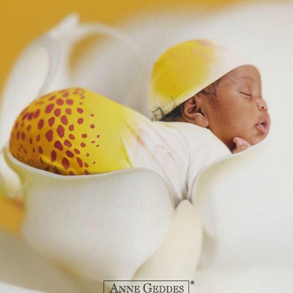 Profile Picture of Deborah Halliburton (@deborahh7) on Poshmark