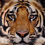 Profile Picture of Hidalgo Matteo (@mattinthewind) on Instagram