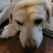 Profile Picture of Mary Crabtree (@marycrabtree8078) on Youtube