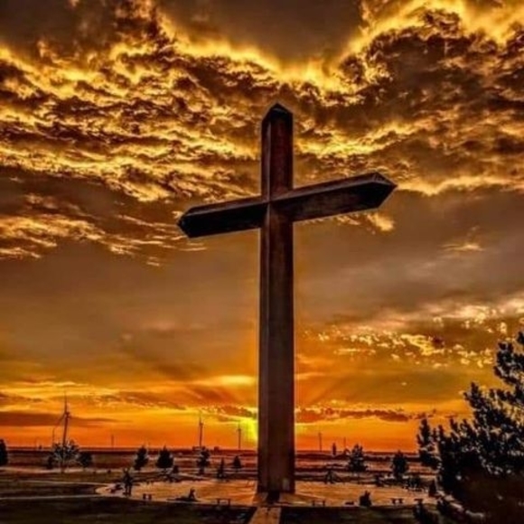 Profile Picture of Kathy Humes (@kathy_humes) on Poshmark