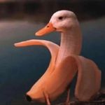 Tony Vrahnos Petersson - Instagram Profile Picture of Tony Vrahnos Petersson (@t_vrahnos) on Instagram