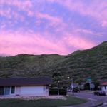 Profile Picture of Leo Davies (@leo_daviess) on Instagram