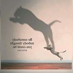 Profile Picture of ROBERT STEVE (@fx.steve) on Instagram