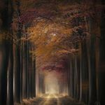 Profile Picture of Dorian Mihailos (@nelson.1000) on Instagram