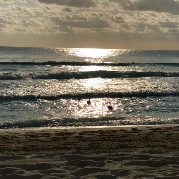 Profile Picture of Midge Jarjous (@mjarjous) on Poshmark