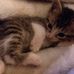 Profile Picture of Joanne Holt (@joanne.holt.395454) on Facebook