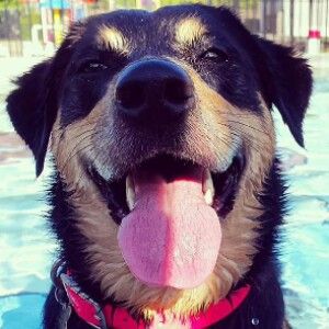 Profile Picture of Andrew C. Junkins (@junktrain8) on Tiktok