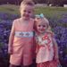 Profile Picture of Diane Renfro (@dianerenfro) on Pinterest