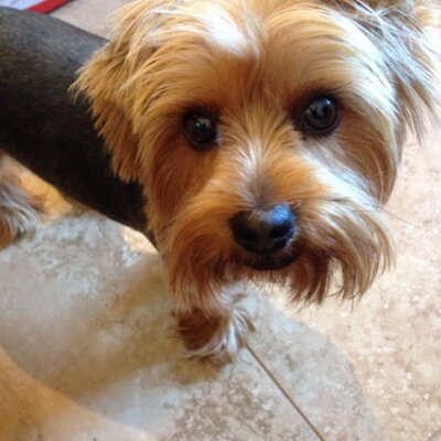 Profile Picture of John Estill (@charliedog100) on Twitter