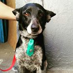 Profile Picture of Theo Jones (@theobaldojones) on Instagram