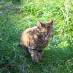 Profile Picture of Coker (@cokerchernemr26) on Instagram