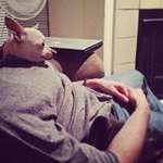 Mitchell Leonard - Instagram Profile Picture of Mitchell Leonard (@thenewjannbrady) on Instagram