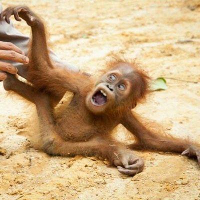 Profile Picture of Sam Speer (@samspeer714) on Twitter