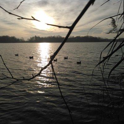Profile Picture of Robert Hegland (@DuckheadTV) on Twitter