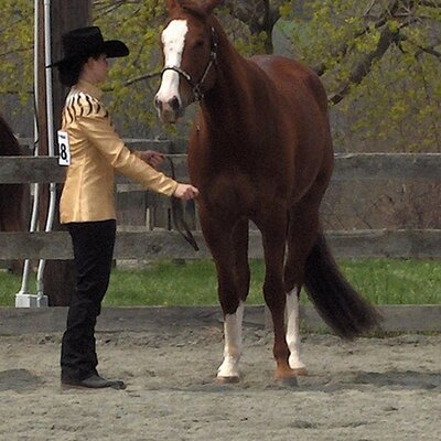 Profile Picture of Mindy Schneider (@lopeumnleadum) on Twitter