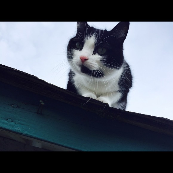 Profile Picture of Kiley Lakins (@lakins_kiley) on Poshmark