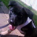 Profile Picture of Michael Willits (@well_that_was_a_bad_idea) on Instagram