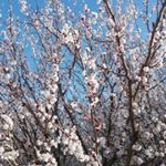 Profile Picture of z.a18 (@hoseinadami2) on Instagram