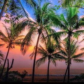 Profile Picture of Niki Bradley-Woo (@woofam07) on Pinterest