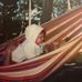 Profile Picture of Paul Gamache (@paul.gamache.77) on Facebook